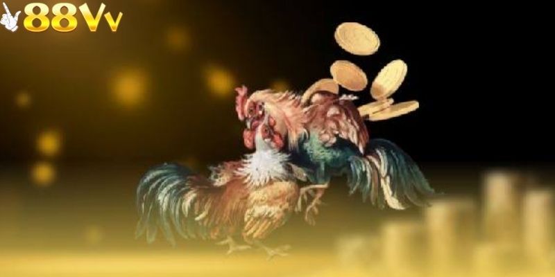 Trước mỗi phiên cược người chơi cần xác định ngân sách
